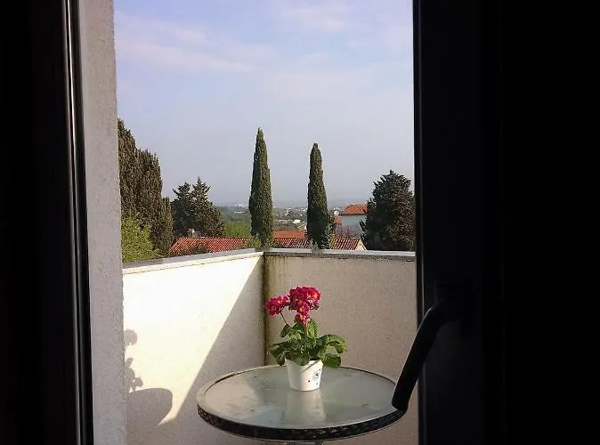 Abelia Sea View *